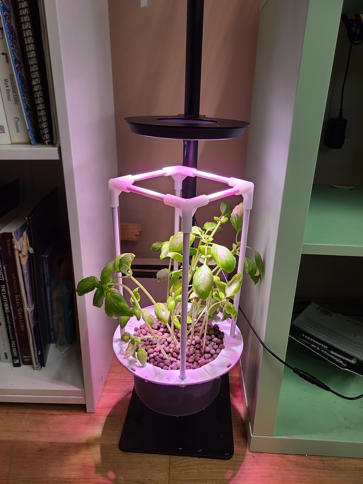 Indoor Plant Hydroponics Growing System Tower Kit with Grow light,Herb Vegetable Indoor Gardening System with Standing Floor Tall LED Grow Lights,Height Adjustable with Stand,Timer,Trellis customer photo 2