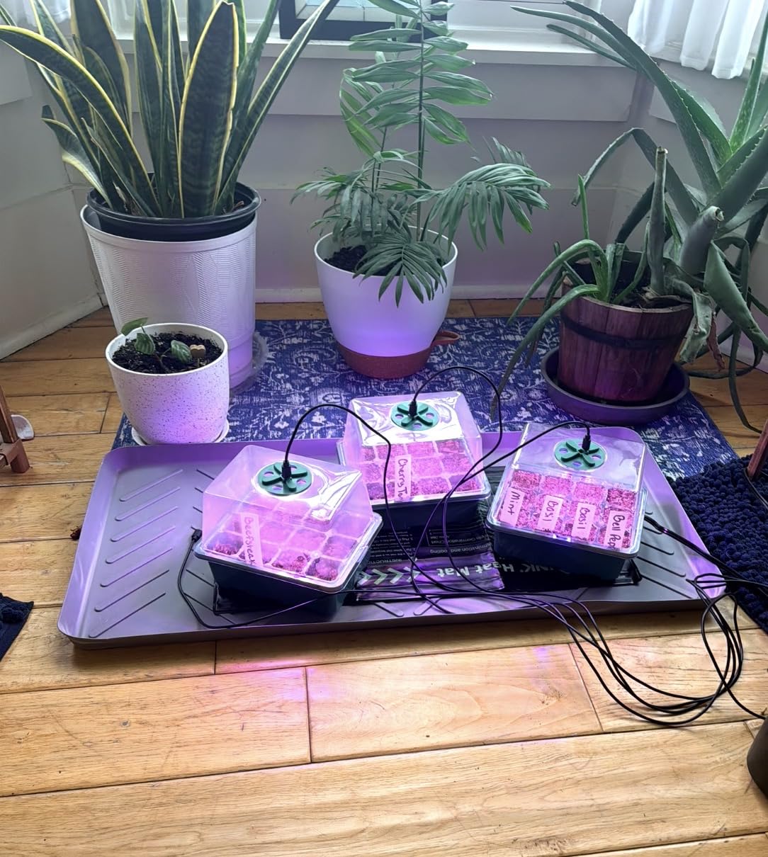 MIXC 6 Pack Seed Starter Kit with Grow Light, Vented Humidity Dome, Green customer photo 1