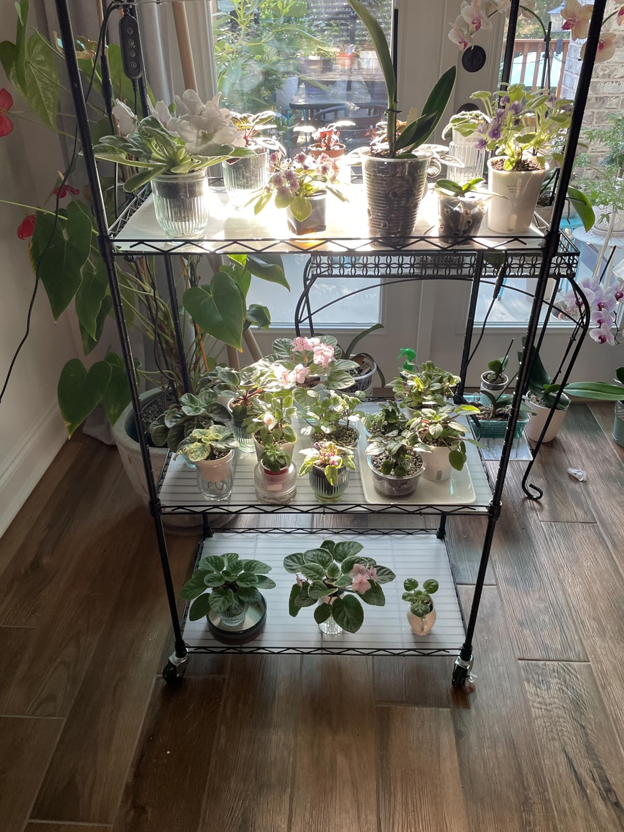 VEVOR Plant Stand with Grow Light, 4-Tier Plant Shelfwith 45W Full Spectrum LED, 3 Mode Plant Light with Timer and Wheel for Seed Starting, Metal Plant Rack for Indoor Plants customer photo 2
