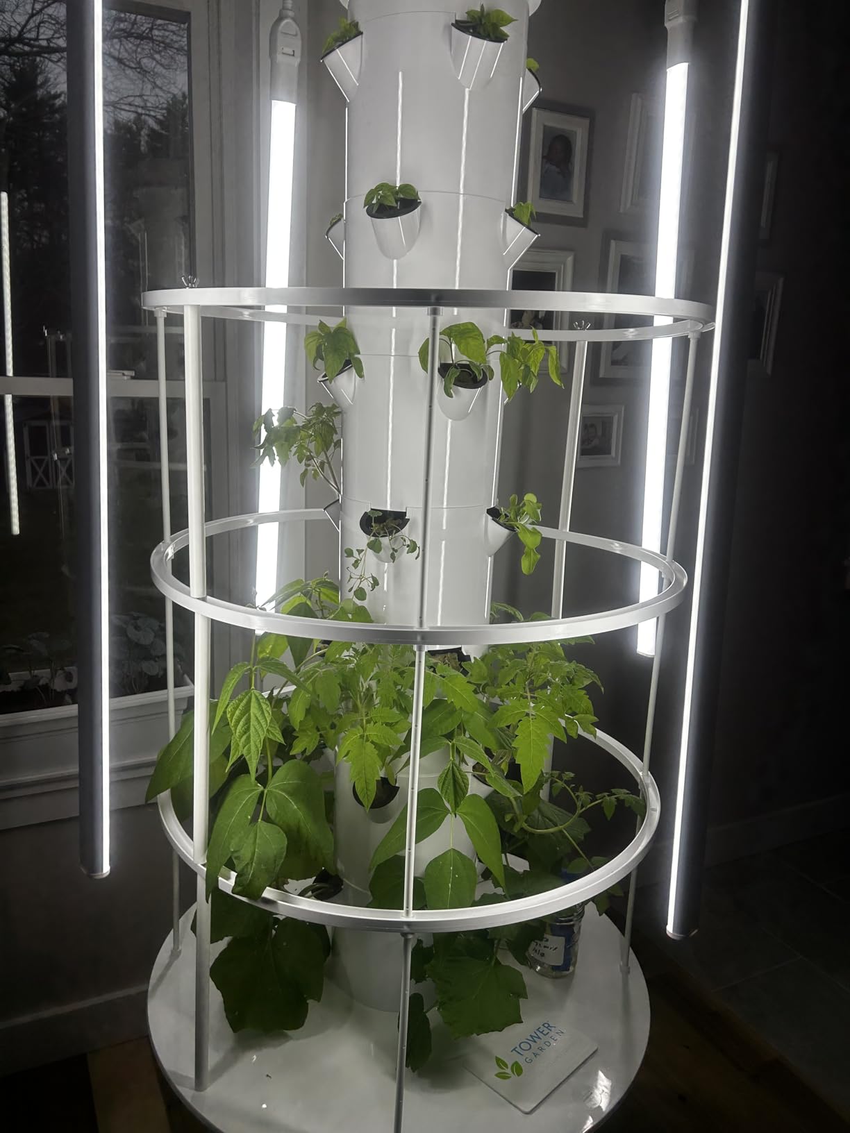 Flex Deluxe Vertical Aeroponic Planter customer photo 1
