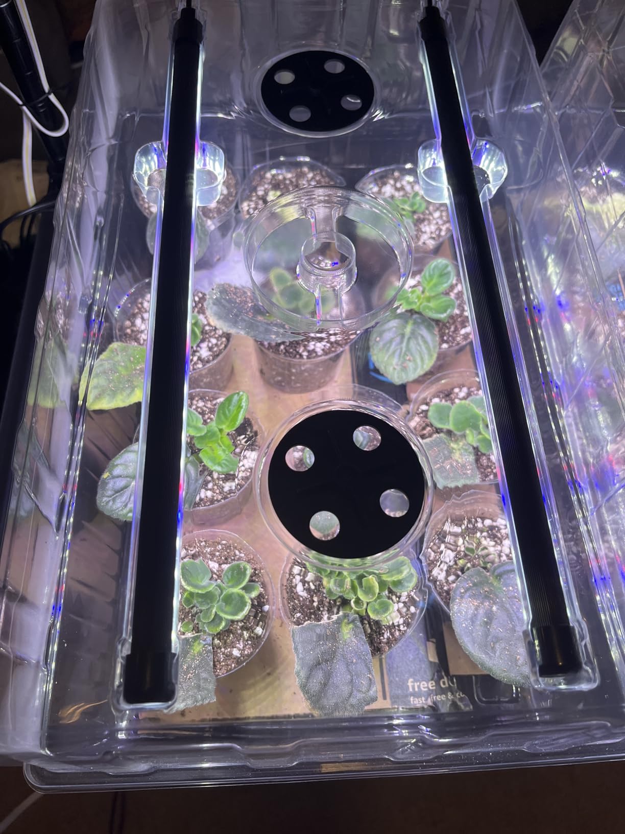 Patigrow 120-Cell Self-Watering Seed Starter Tray with Grow Light, Seed Starter Kit with 4.07” Humidity Dome, Indoor Seedling Starter Tray, Seed Starting Trays for Plant Germination, Seeds Growing customer photo 1