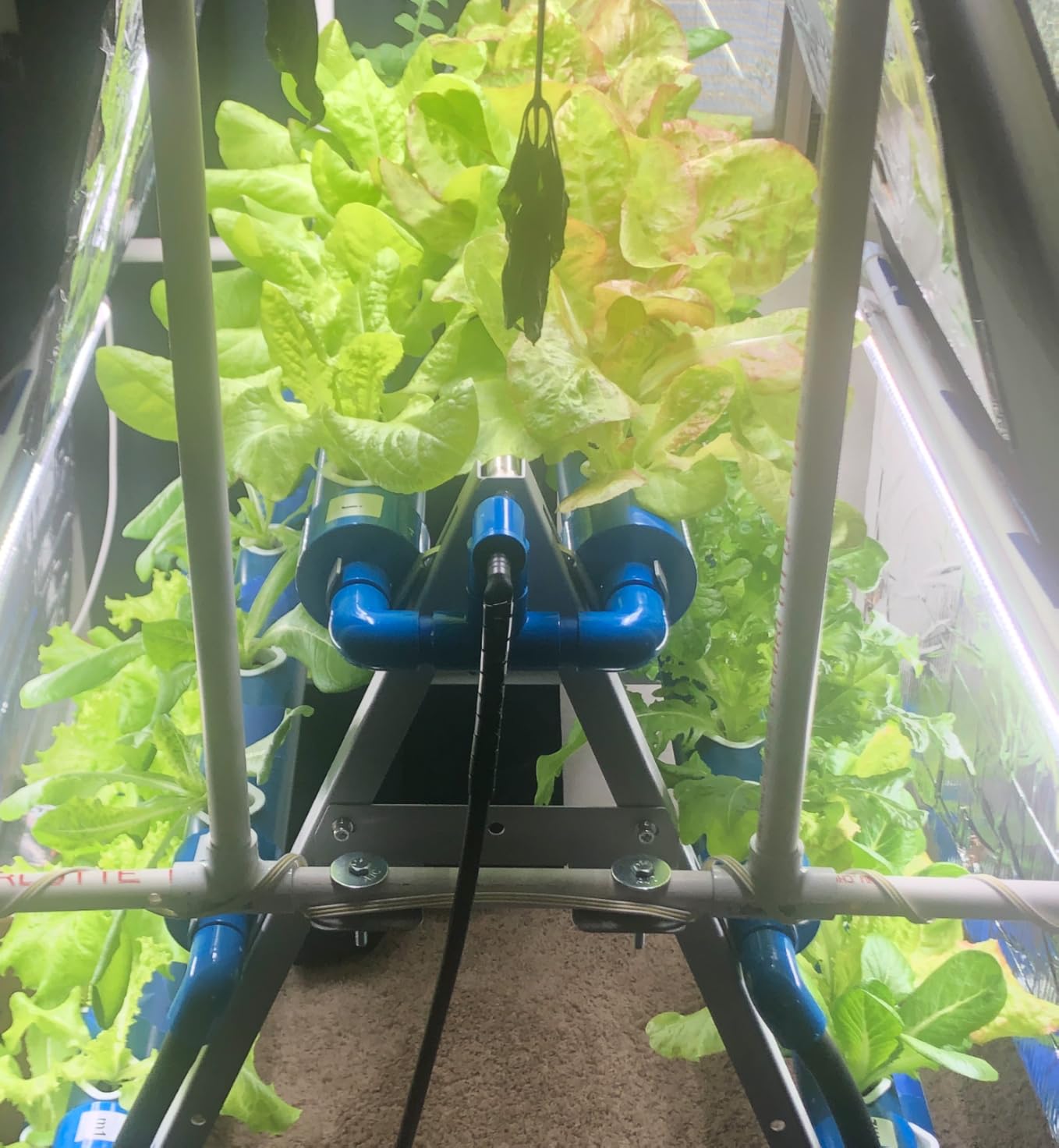 A-Type 72 Plant Sites Hydroponics Growing System Kit with Light Blocking customer photo 2