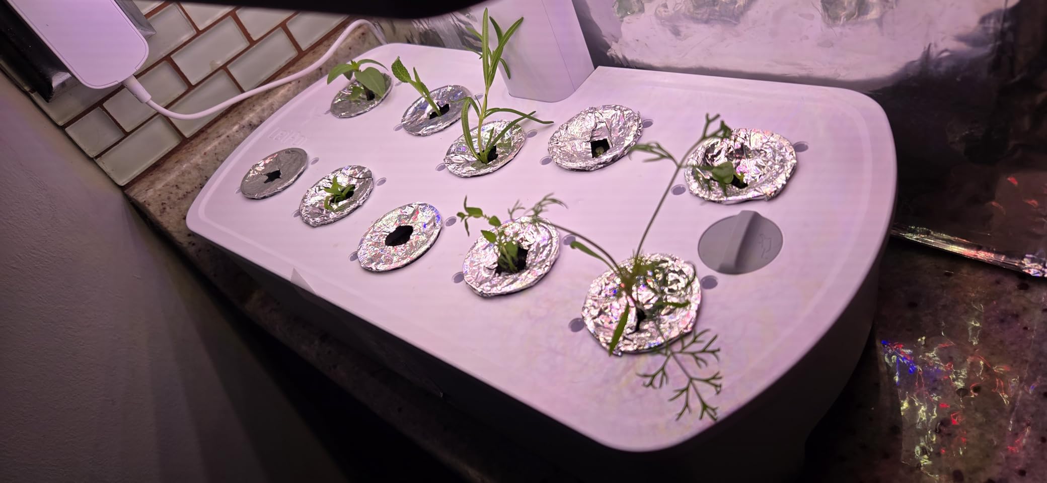 LETPOT LPH-Air 10-Pod Hydroponics Growing System Indoor Garden Kit customer photo 1
