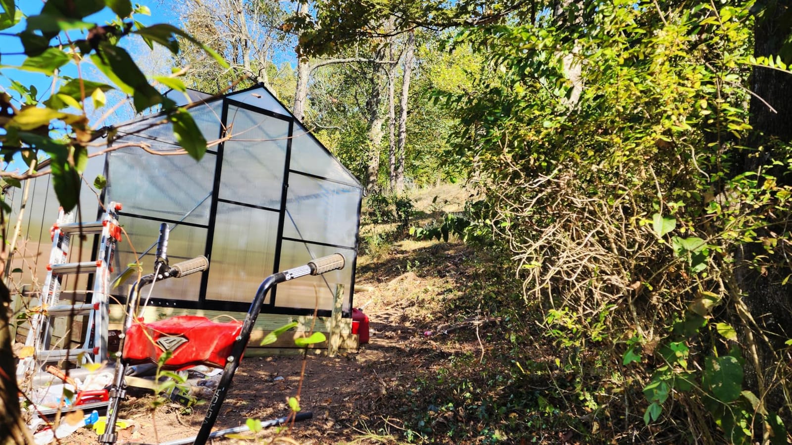 6x4FT Greenhouse with Hygrometer, Windproof Warm Plant Green Houses customer photo 2
