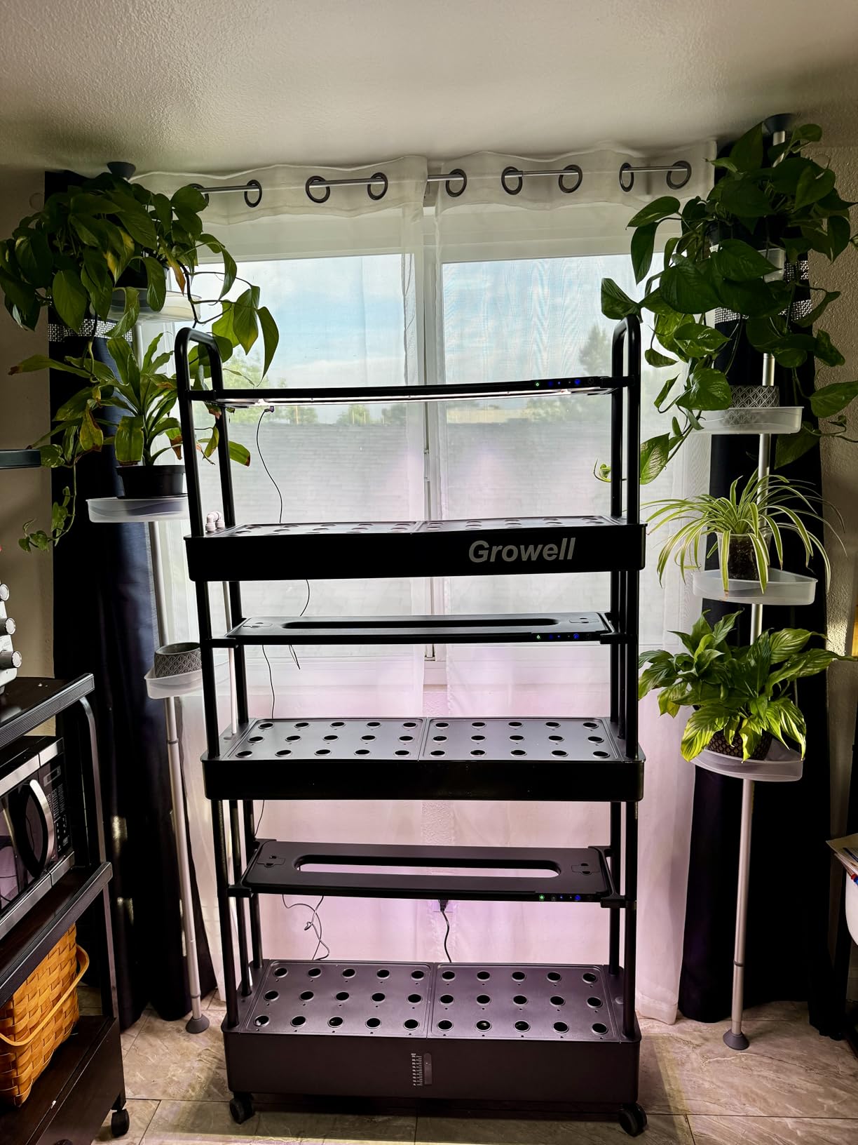 Growell Large Hydroponics Growing System Kit, 120 Pods Vertical Hydroponic Garden with 2 Light Modes Grow Light, Auto Circulating Water System, 48L Indoor Gardening System for Herb Vegetable Fruit customer photo 2