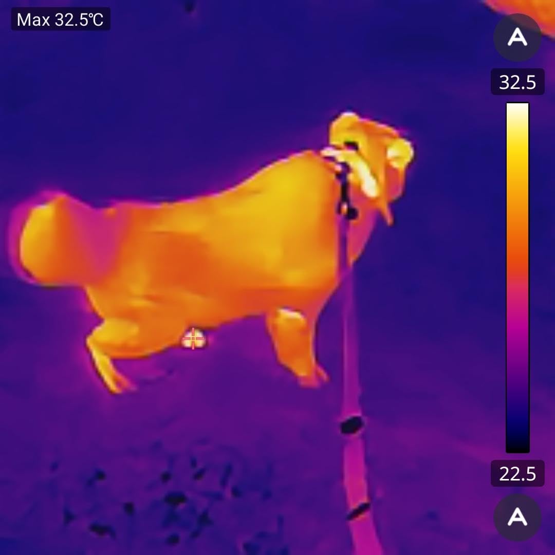 GOYOJO Thermal Imaging Camera for Android/iphone 15/16/17 iOS Series 192x192 IR Resolution– Water Leak Detection HVAC Electrical Plumbing, Automotive Repair, Home Inspection, DIY-USB-C Infrared Imager customer photo 1