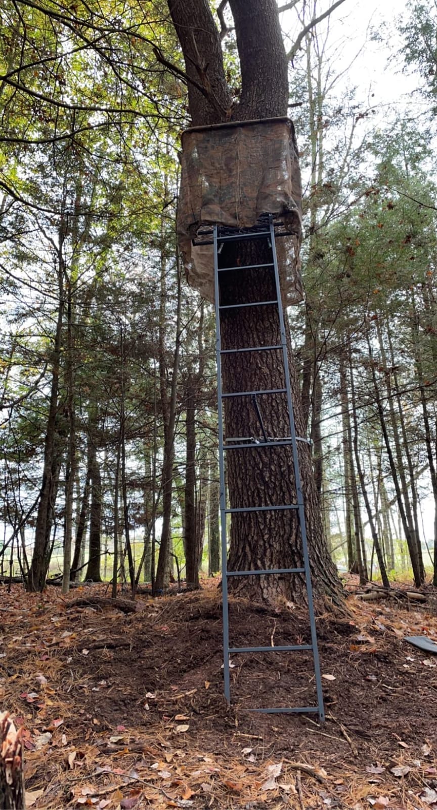 Guide Gear 16.5' 2-Man Ladder Tree Stand for Hunting Elevated Climbing Seat Hunting Gear Equipment Accessories customer photo 1