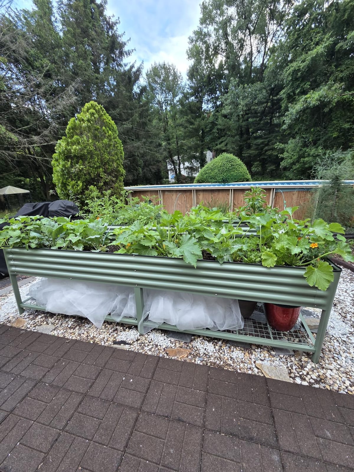 Vego garden Elevated Raised Garden Bed, 2' x 4' Outdoor Planters Boxes with Legs & Storage Rack for Patio, 700 Lbs Weight Capacity, Raised Beds for Gardening Herbs Vegetables, Olive Green customer photo 2