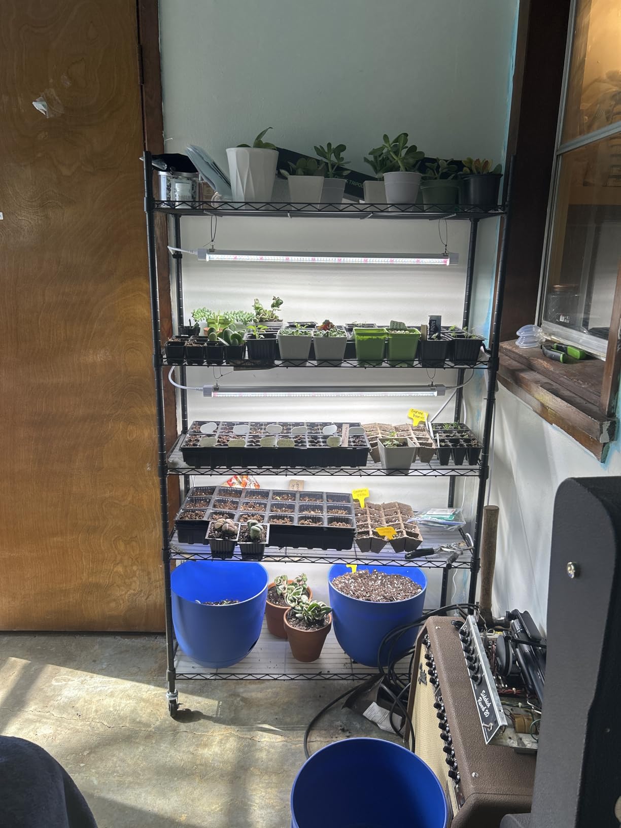 FREELICHT Plant Stand with Grow Light 5-Tier, 4×30W 5000K, 29.5x13.8x61.5IN customer photo 2