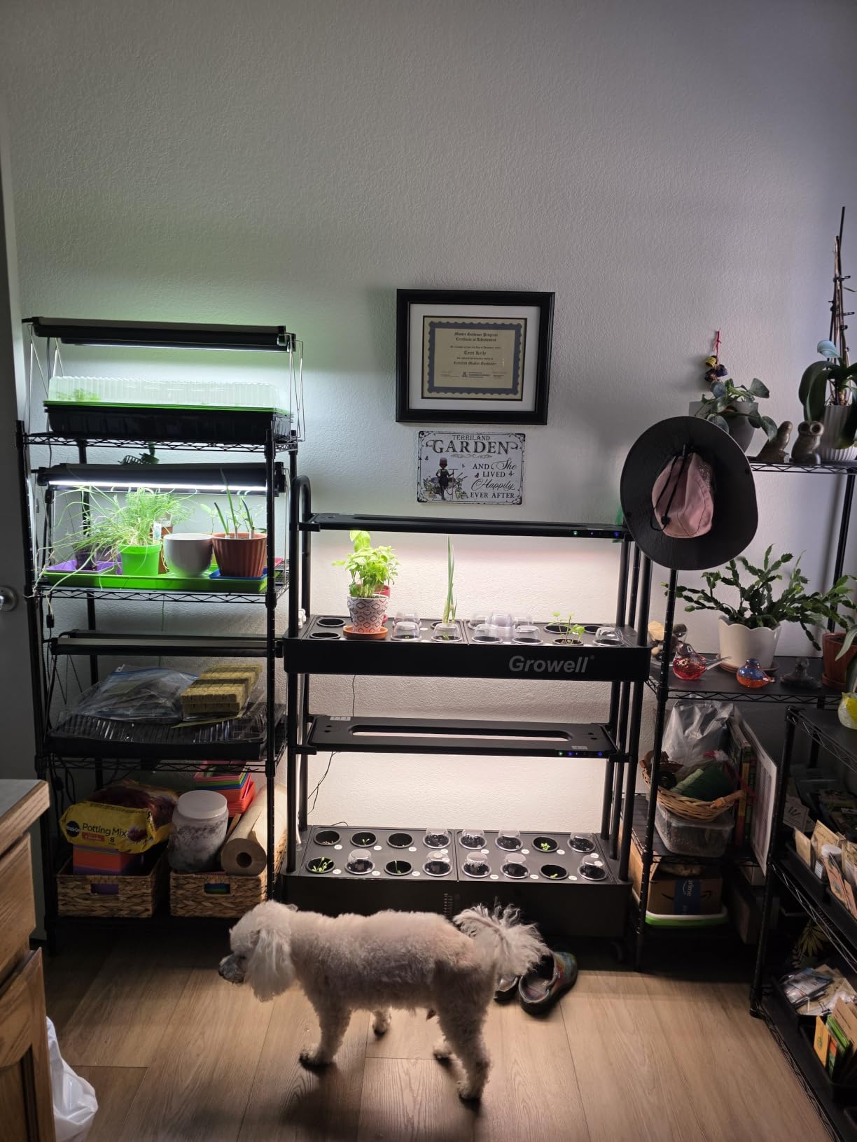 Growell Large Basket Hydroponics Growing System Kit, 48 Pods Vertical Hydroponic Garden with 2 Grow Light Modes, Auto Circulating Water System, 40L Indoor Gardening System for Herb Vegetable Fruit customer photo 2