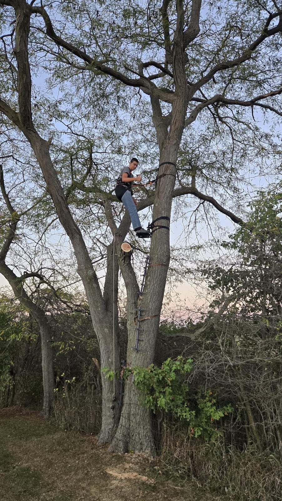 Kalkal Complete Tree Saddle Hunting System, Hunting Saddle Kit with Aluminum Tree Saddle Platform, Tree Saddle Safety Harness, Tree Straps and Safety Rope customer photo 2