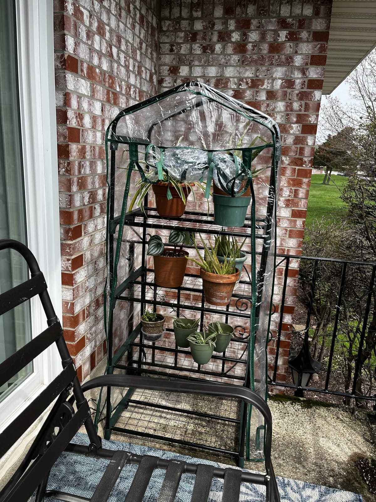Miracle-Gro 4-Tier Greenhouse, Removable Shelves, Clear, 23