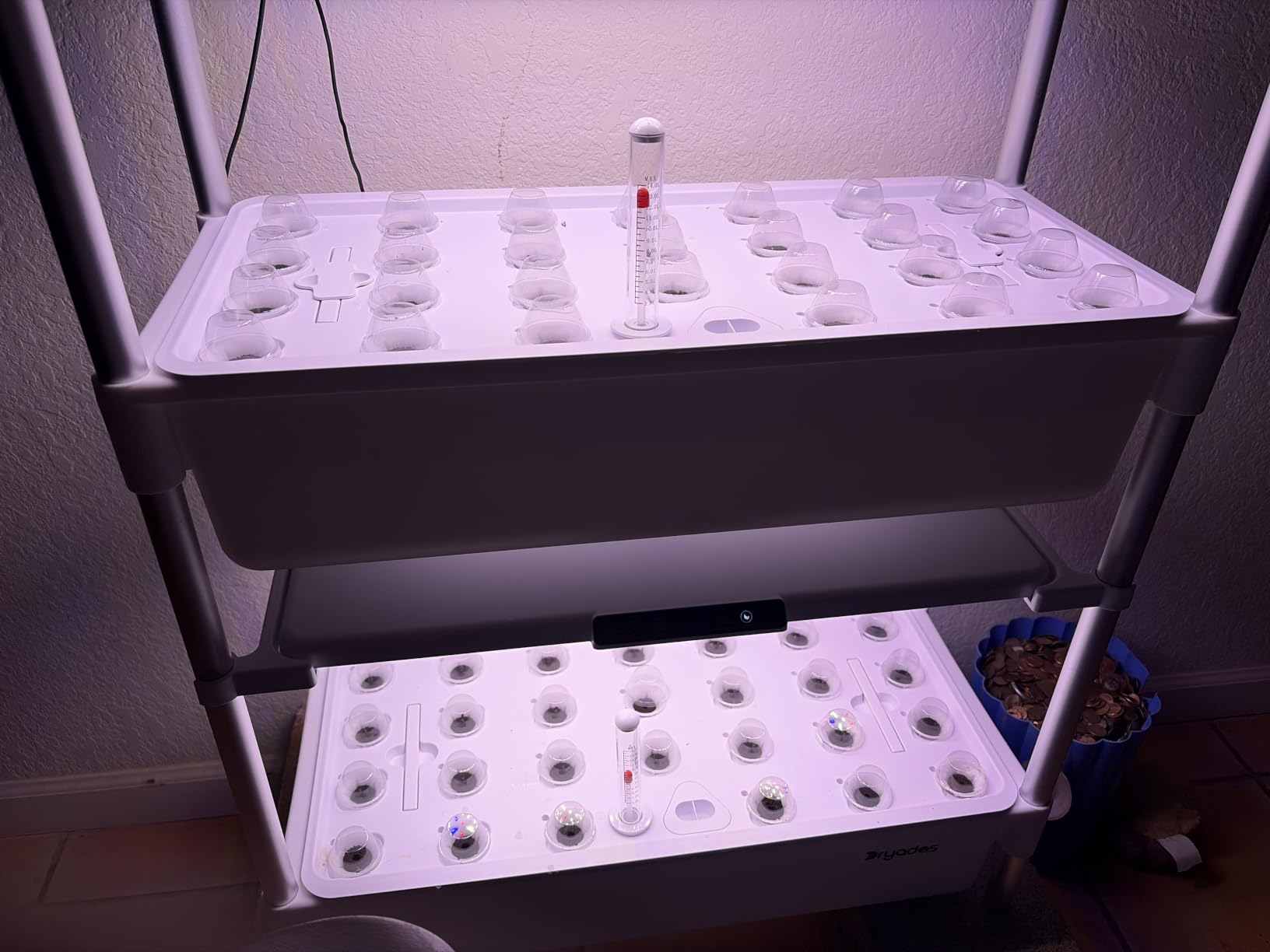 Indoor Hydroponic Growing System with 54 Pods Herbs Garden Kit with 30W Led Grow Light Large Movable 2-Layer Floor-Standing Hydroponic Gardening System for Vegetable Fruit customer photo 1