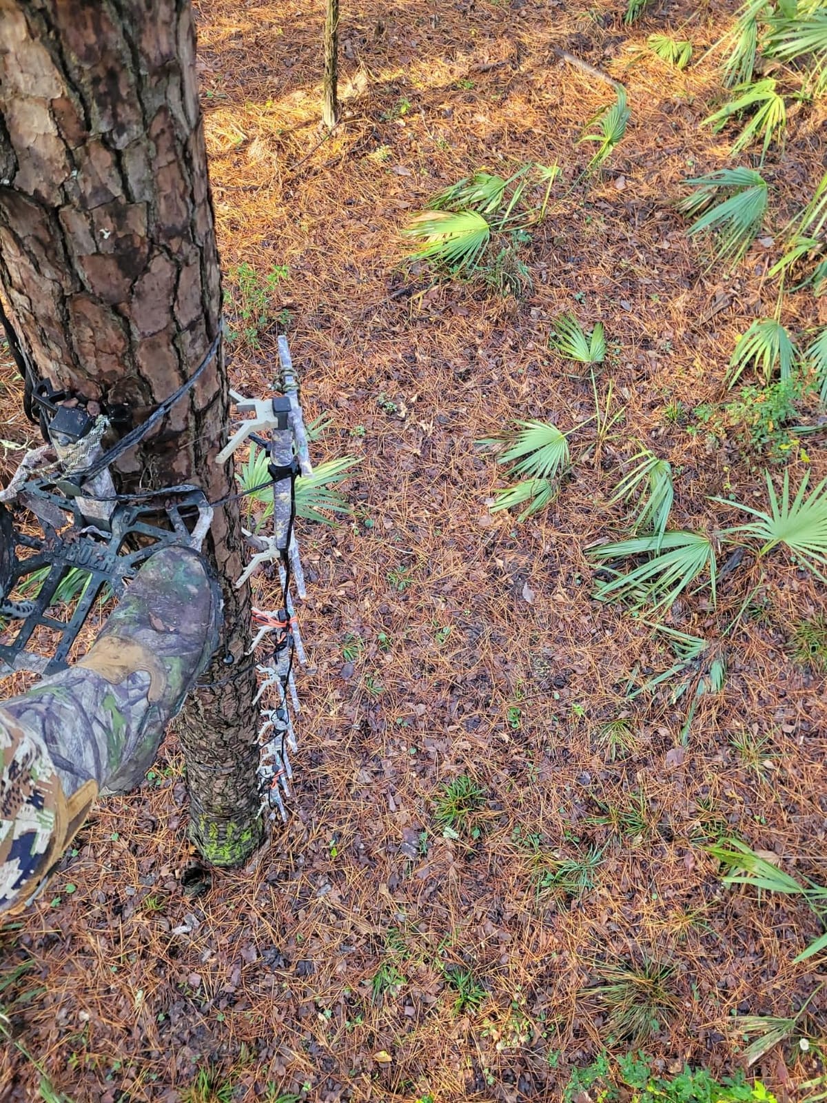 XOP- X2 Hunting Climbing Steps - Double Step Climbing Sticks for Hunting customer photo 1
