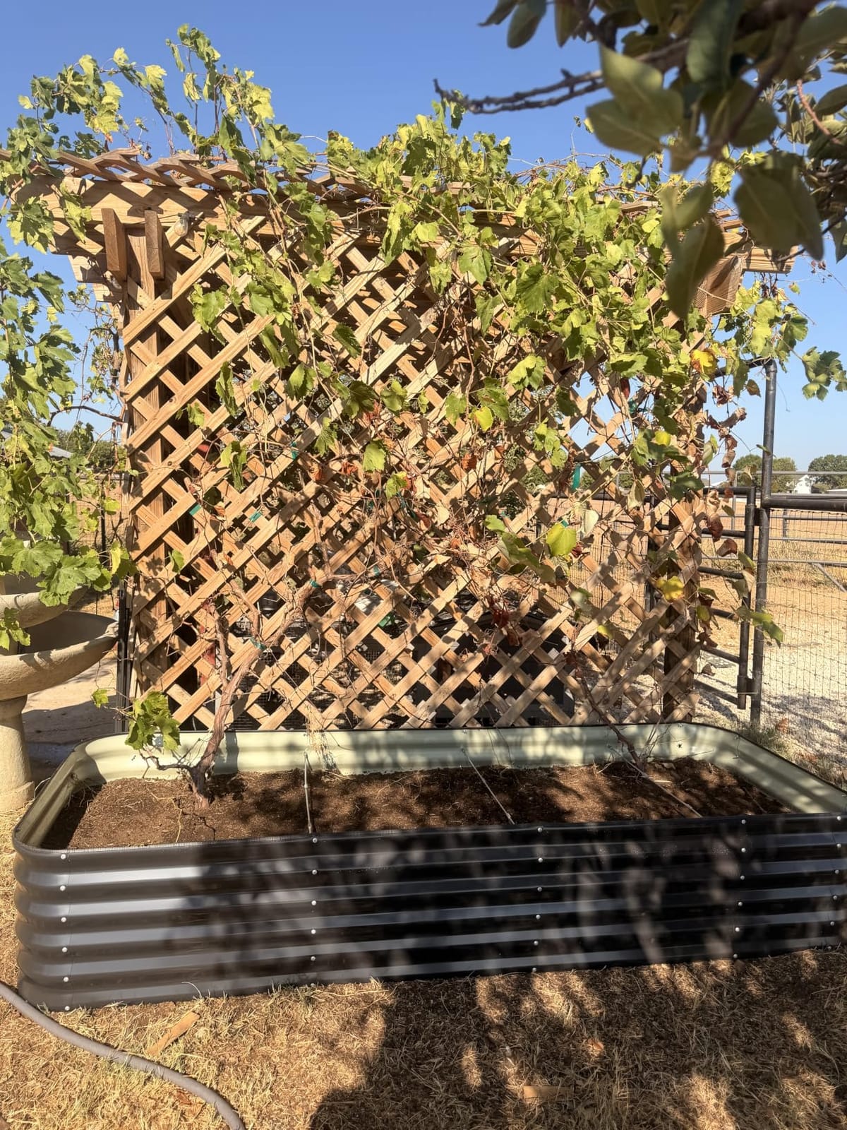 5 in 1 Galvanized Raised Garden Bed, 8x3x1ft, 2Pack, Grey customer photo 1