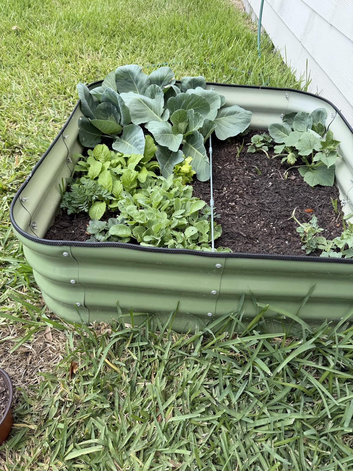 5 in 1 Galvanized Raised Garden Bed, 8x3x1ft, 2Pack, Grey customer photo 2