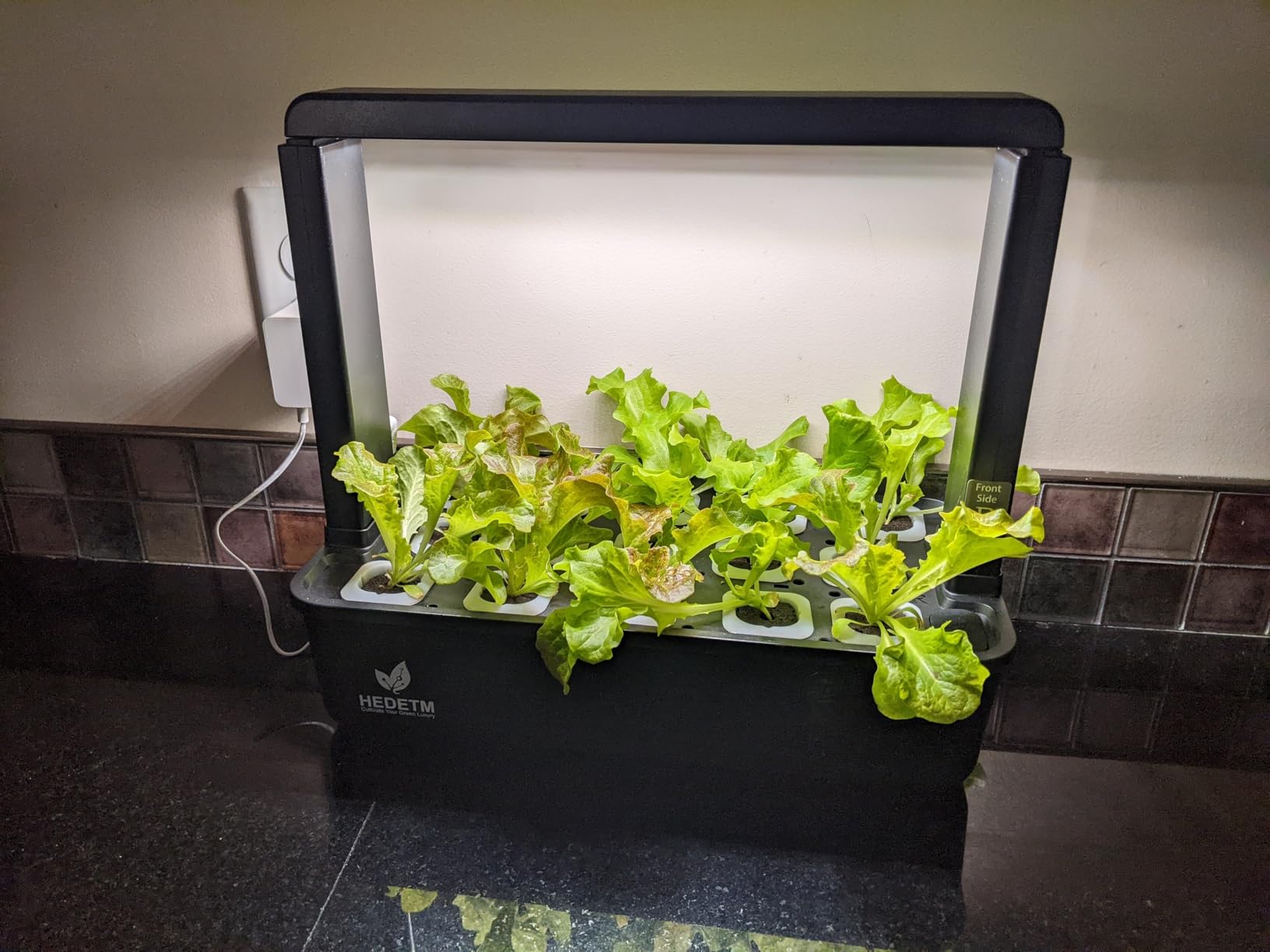 15 Pods Hydroponics Growing System Indoor Garden with LED Grow Light customer photo 1