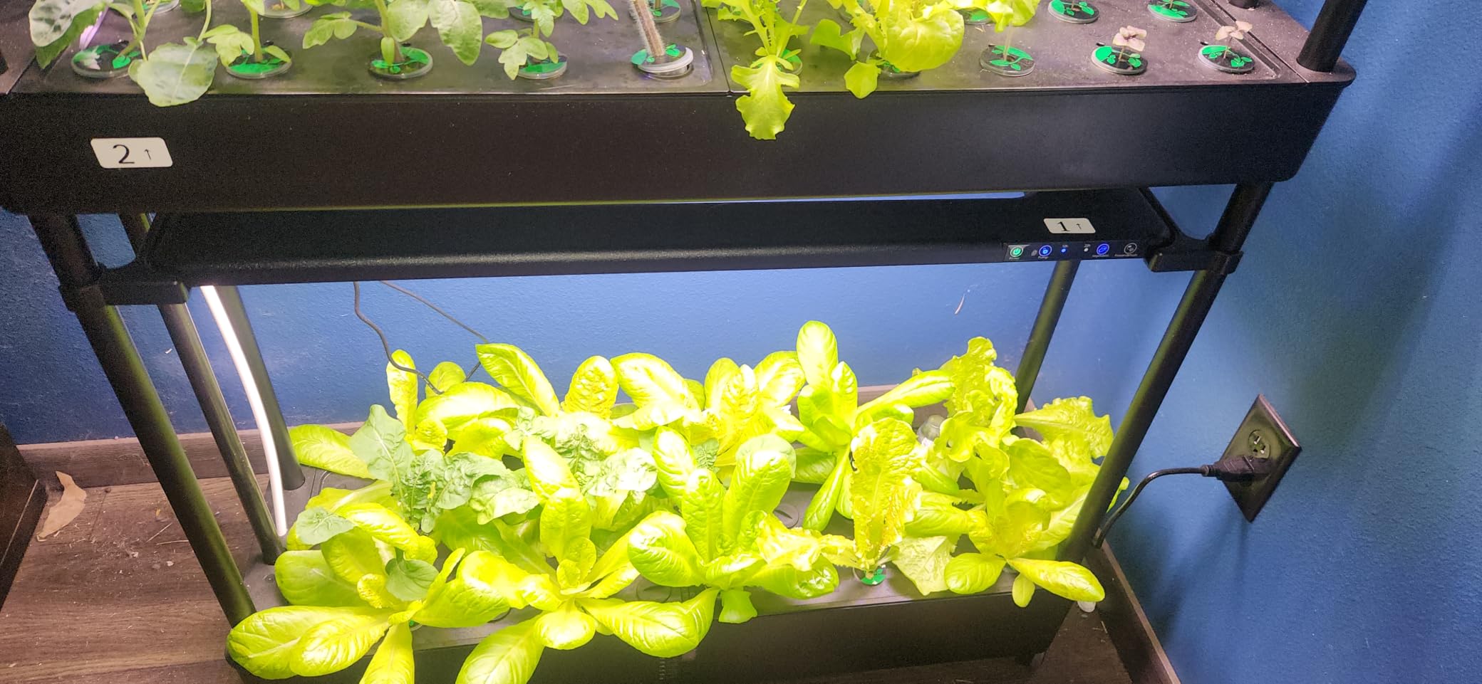 Growell 90 Pods Large Hydroponics Growing System Kit, Indoor Herb Garden customer photo 2