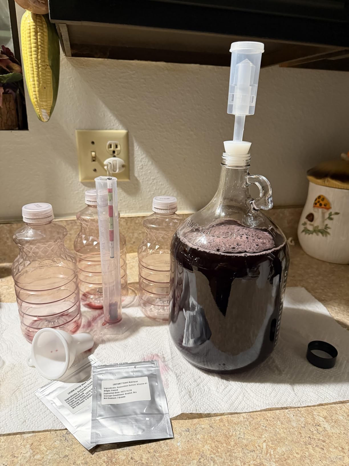 Wine Making Kit Home Brewing - Complete Grape Juice Brew Starter Set for Beginners, 1 Gallon Glass Fermentation Jar with 4 Bottles, Yeast & Nutrients, Siphon, Airlock and Step-By-Step Guide customer photo 1