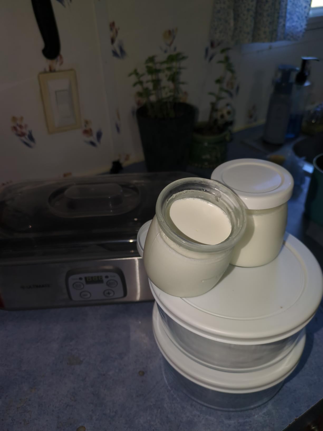 Ultimate Probiotic Yogurt Maker with TruTemp™ Adjustable Temperature & Time Control, Make Trillions of Probiotics for Gut Health, Two 1-Quart Containers for Larger Batches, UNLIMITED LIFETIME WARRANTY customer photo 2