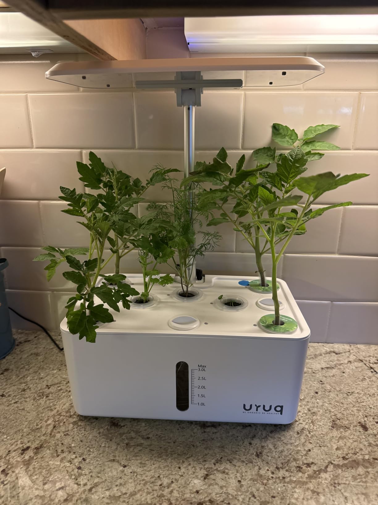 URUQ 8 Pods Hydroponics Growing System with LED Grow Light - Black customer photo 1