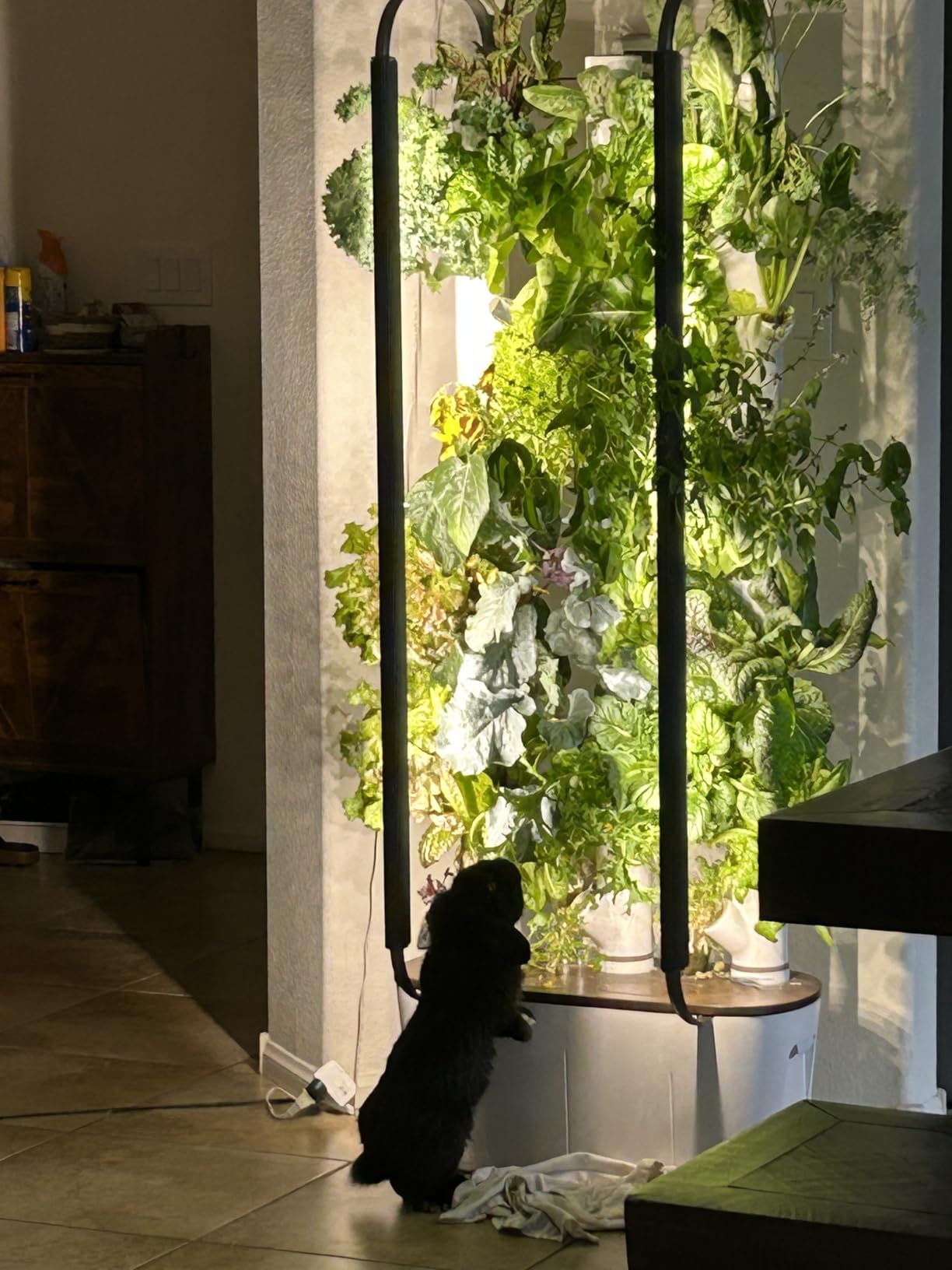 Gardyn Home 4 Vertical Hydroponics Growing System Kit - 30 Plants customer photo 1