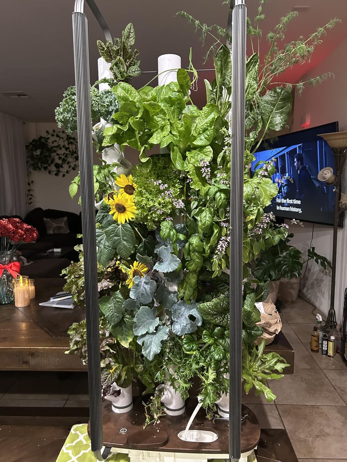Gardyn Home 4 Vertical Hydroponics Growing System Kit - 30 Plants customer photo 2