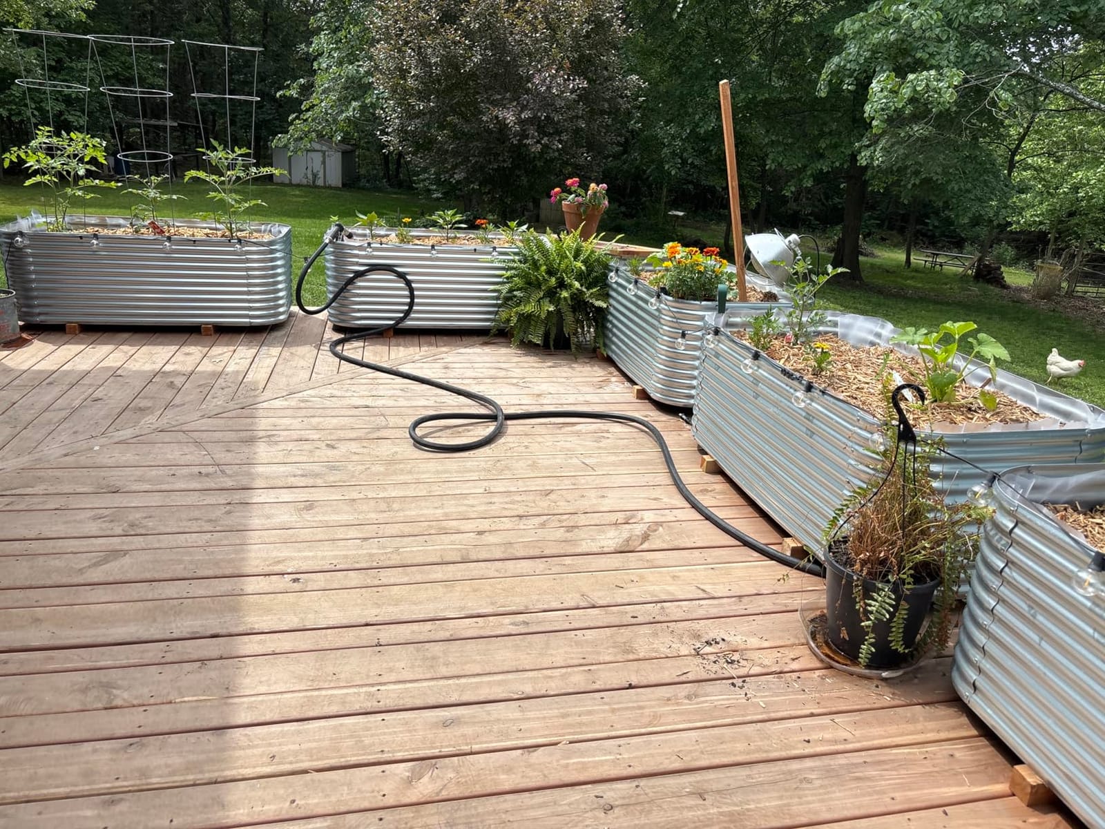 3 Pack Tall Corrugated Galvanized Steel Raised Garden Bed Outdoor, Metal Above Ground Garden Bed for Vegetables and Flowers, Raised Beds for Gardening-4x2FT customer photo 1