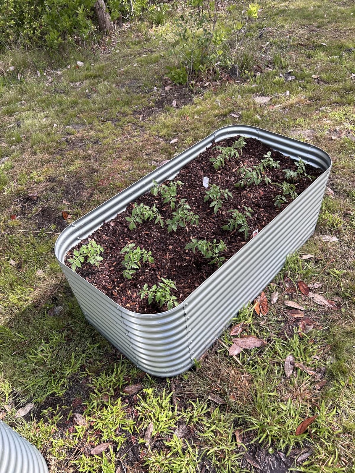 3 Pack Tall Corrugated Galvanized Steel Raised Garden Bed Outdoor, Metal Above Ground Garden Bed for Vegetables and Flowers, Raised Beds for Gardening-4x2FT customer photo 2