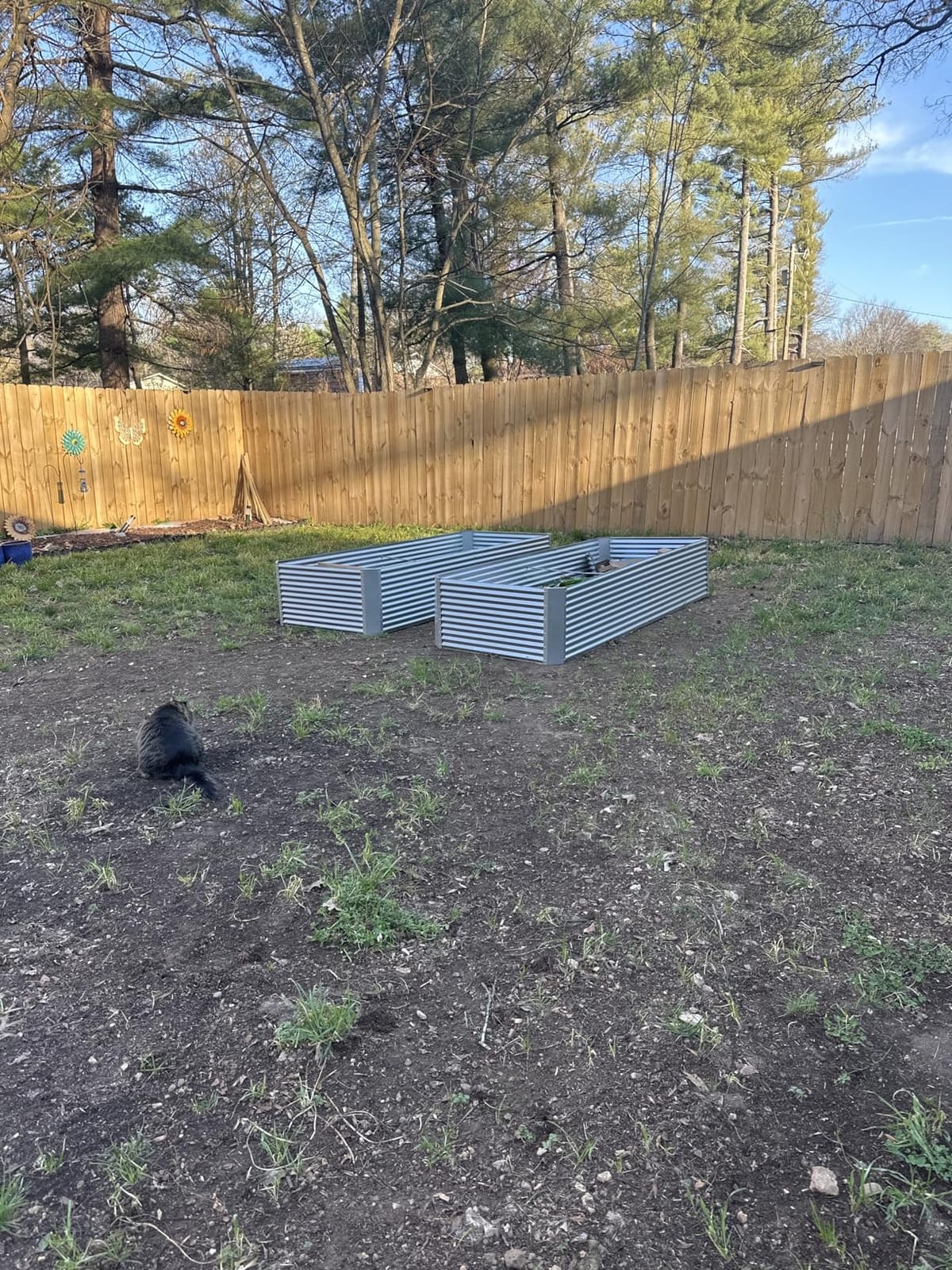 2 Pack Tall 6x3FT Corrugated Galvanized Steel Raised Garden Bed Outdoor, Metal Above Ground Garden Bed for Vegetables and Flowers, Rectangle Raised Beds for Gardening customer photo 1