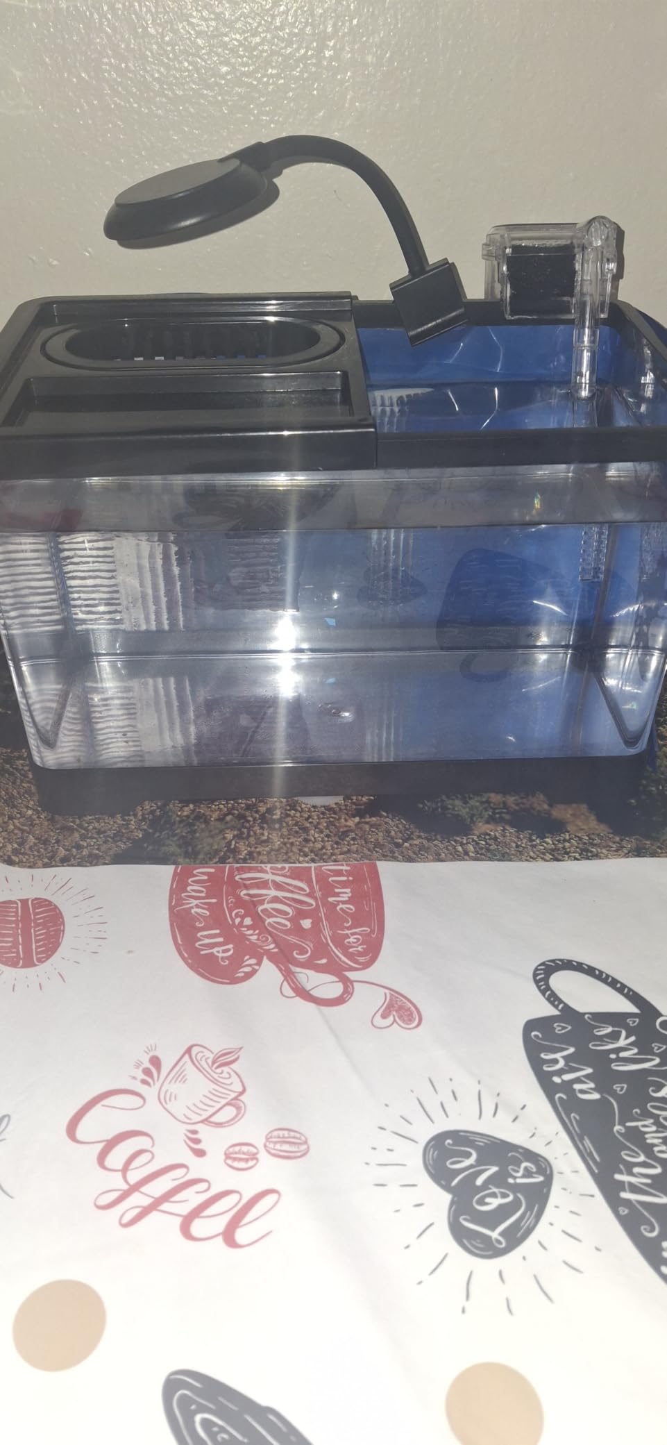 1.8 Gallon Beta Fish Tank Aquariums Kits - Clear Small Fish Bowl Starter Kit with LED Light, Water Filter Pump, Hydroponic Basket - Beginner's Gift for Guppy Shrimp Goldfish, Rectangular customer photo 2