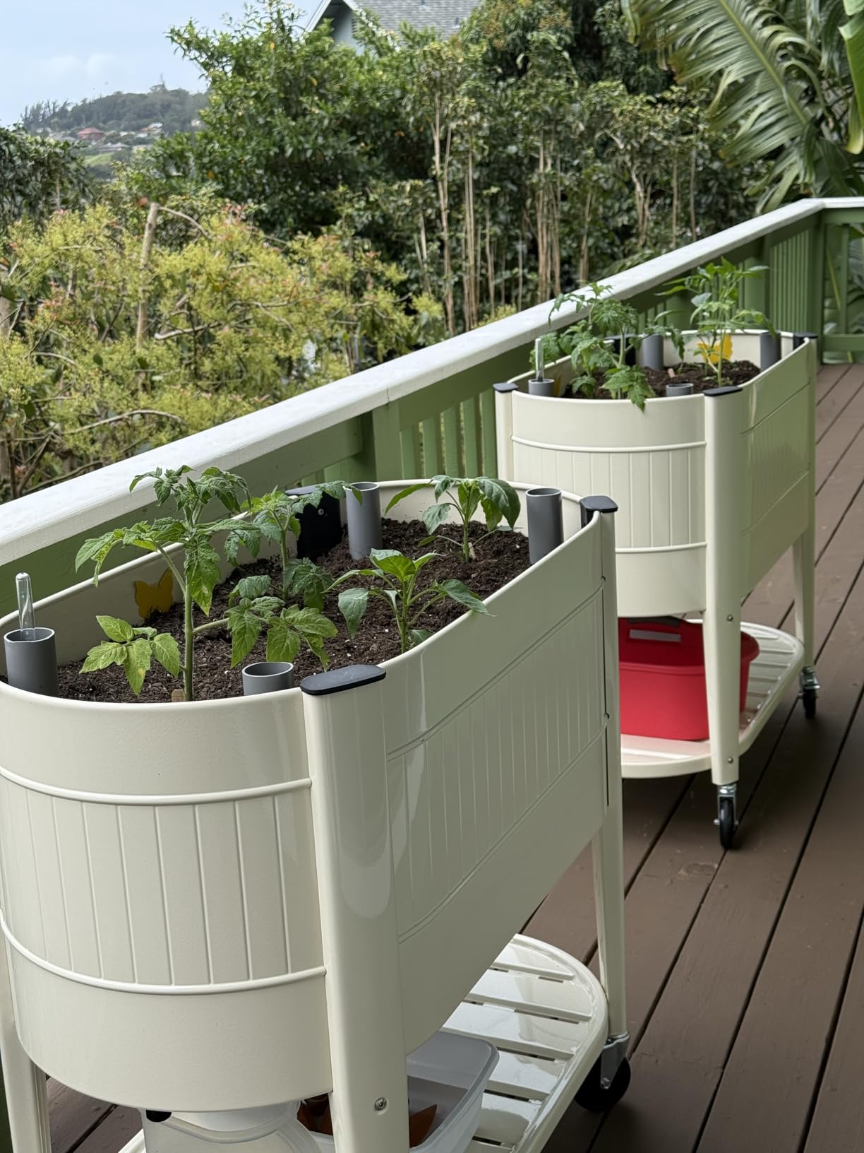 Permasteel Self-Watering Garden Bed, Rolling Planter for Vegetables, Flowers, Herbs, and Fruit, Outdoor Indoor, Caster Wheels, Sage customer photo 1