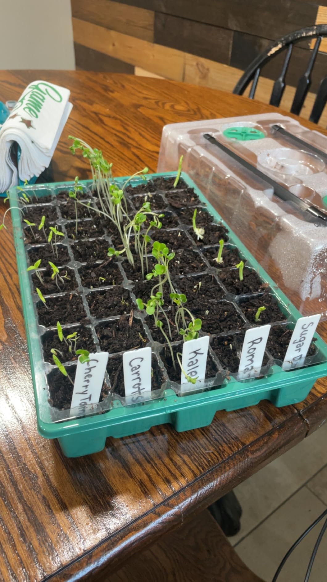 Sondiko Seed Starter Tray with Grow Light, Heated Seed Starter Kit customer photo 1