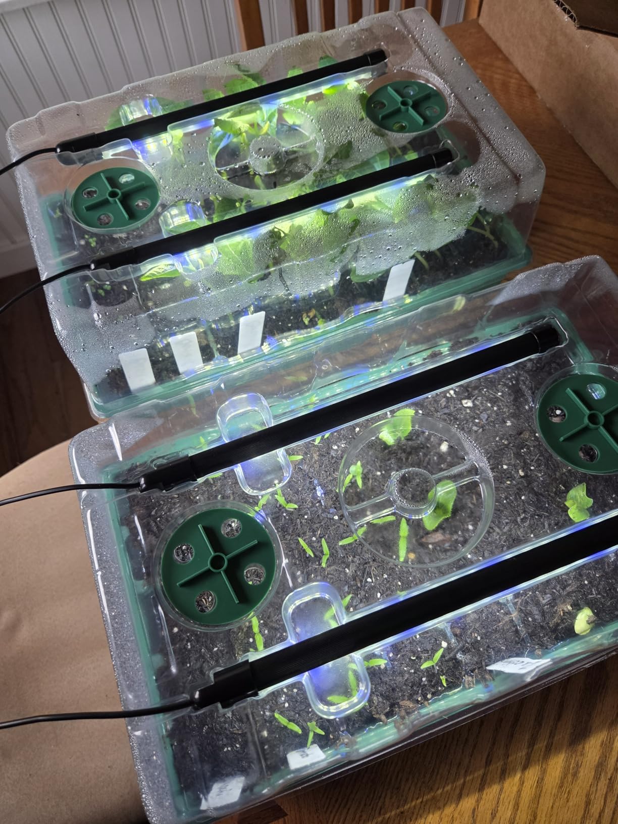 Sondiko Seed Starter Tray with Grow Light, Heated Seed Starter Kit customer photo 2