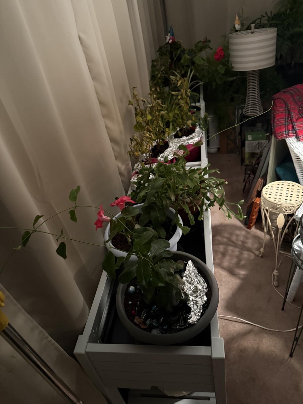 Elevated Raised Garden Bed with Legs, 33.66