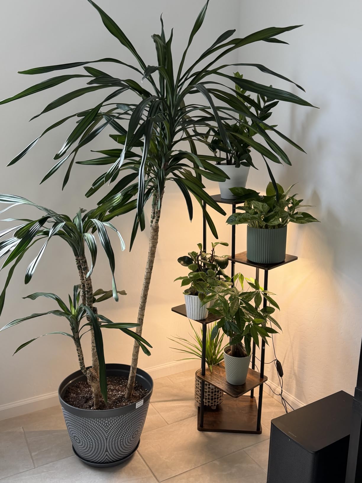 Bamworld Tall Plant Stand Indoor with Grow Light Corner Plant Shelf customer photo 1