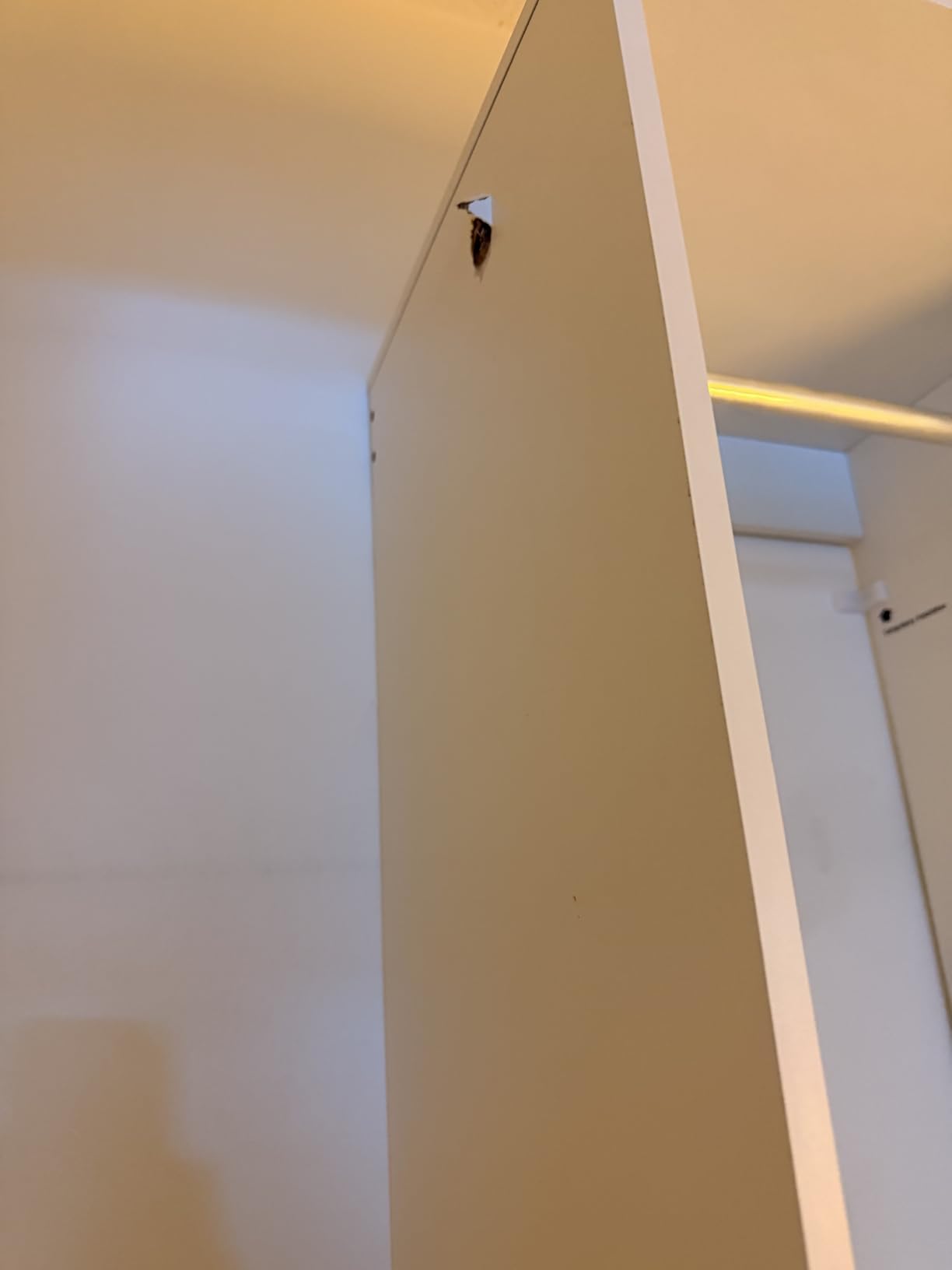 SONGMICS Closet System, Customizable Walk-In Closet Organizer System customer photo 1