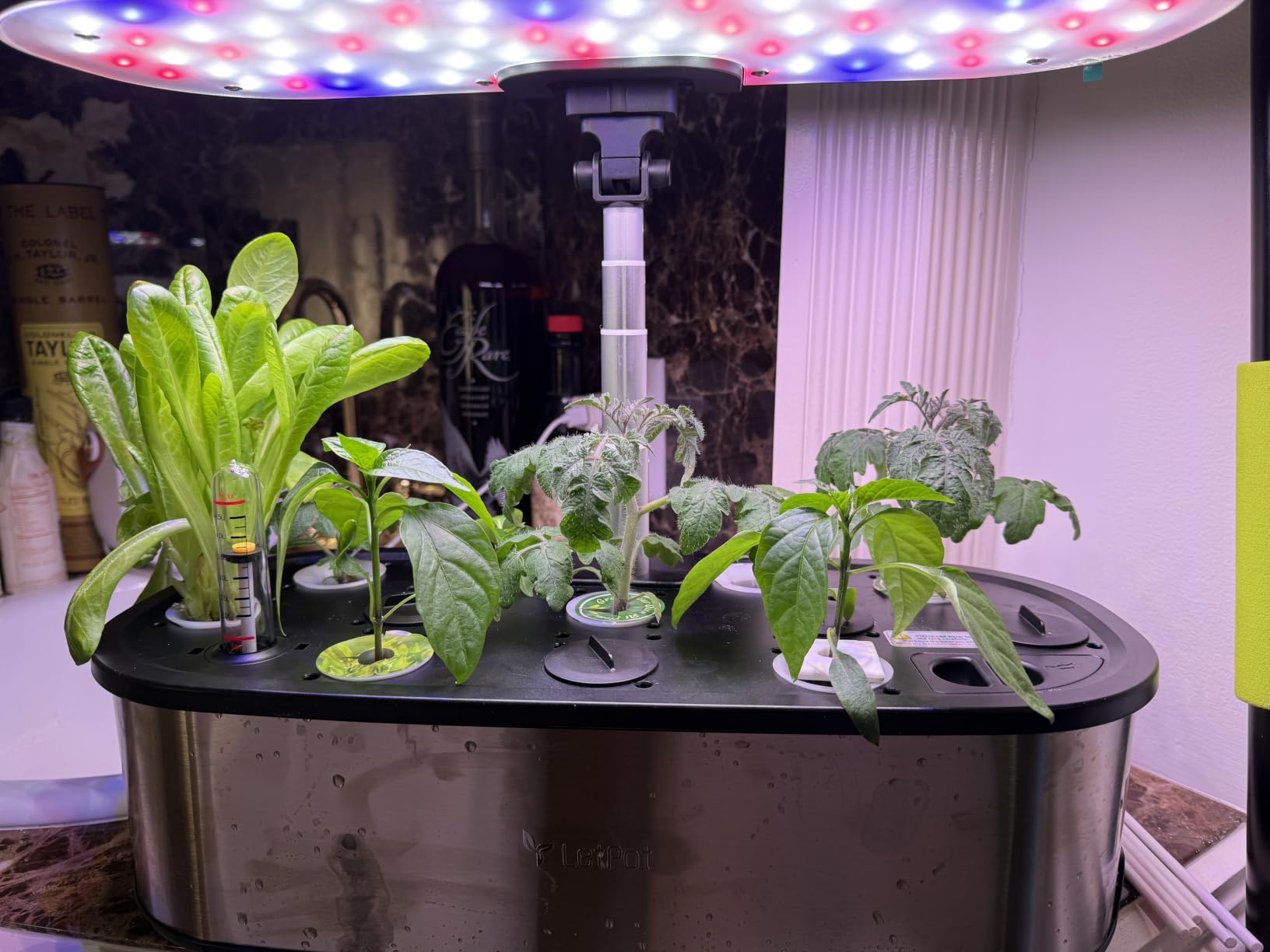 LETPOT LPH-Max 21-Pod Hydroponic Growing System Kits, Smart Indoor Garden with APP & WiFi Control, Auto Watering & Nutrient Supply, 36W Full Spectrum LED Grow Light, 7.5L Tank, Up to 30