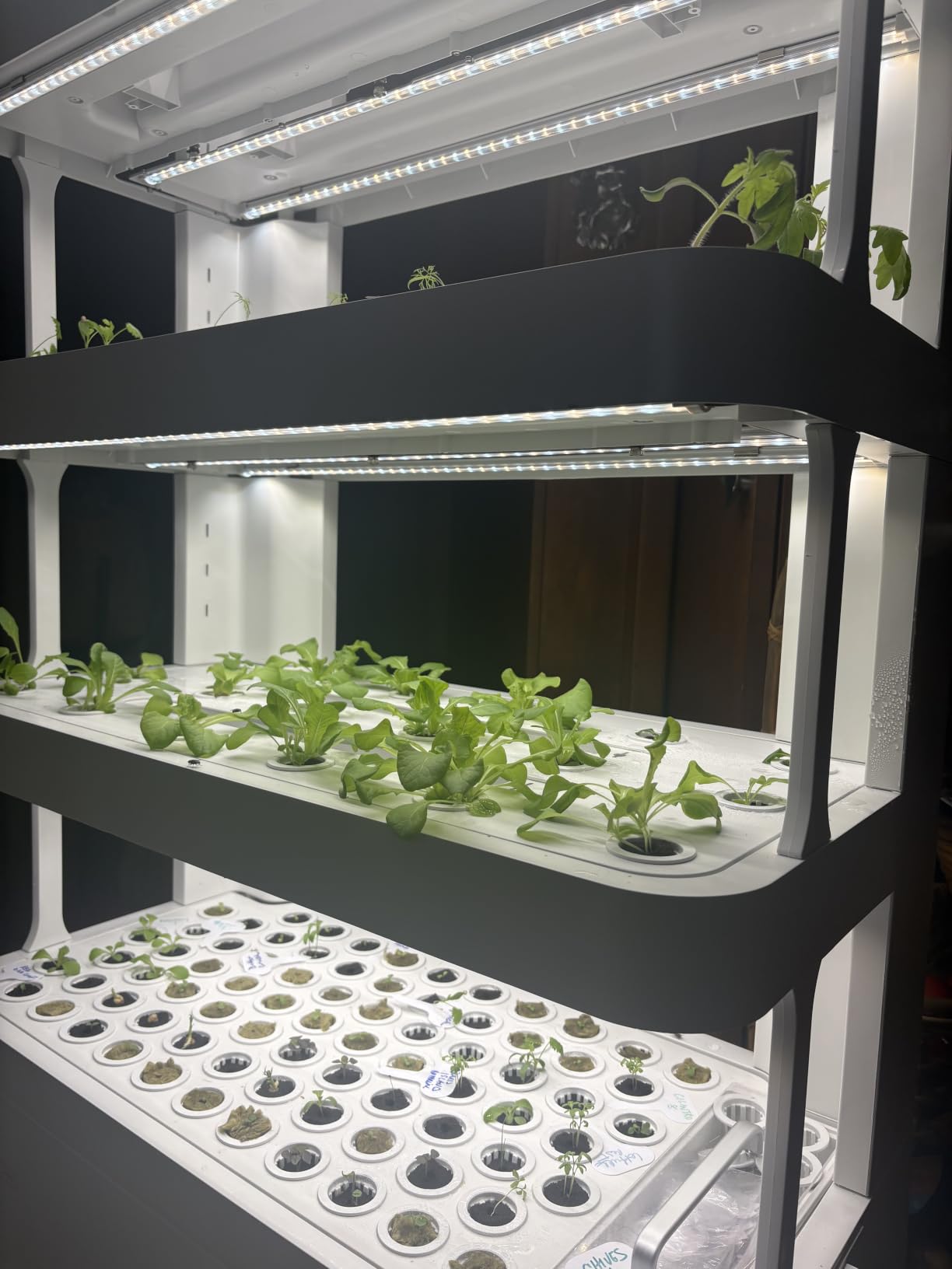 Large Hydroponics Growing System, 148-Pod Vertical Hydroponic Tower Garden customer photo 1