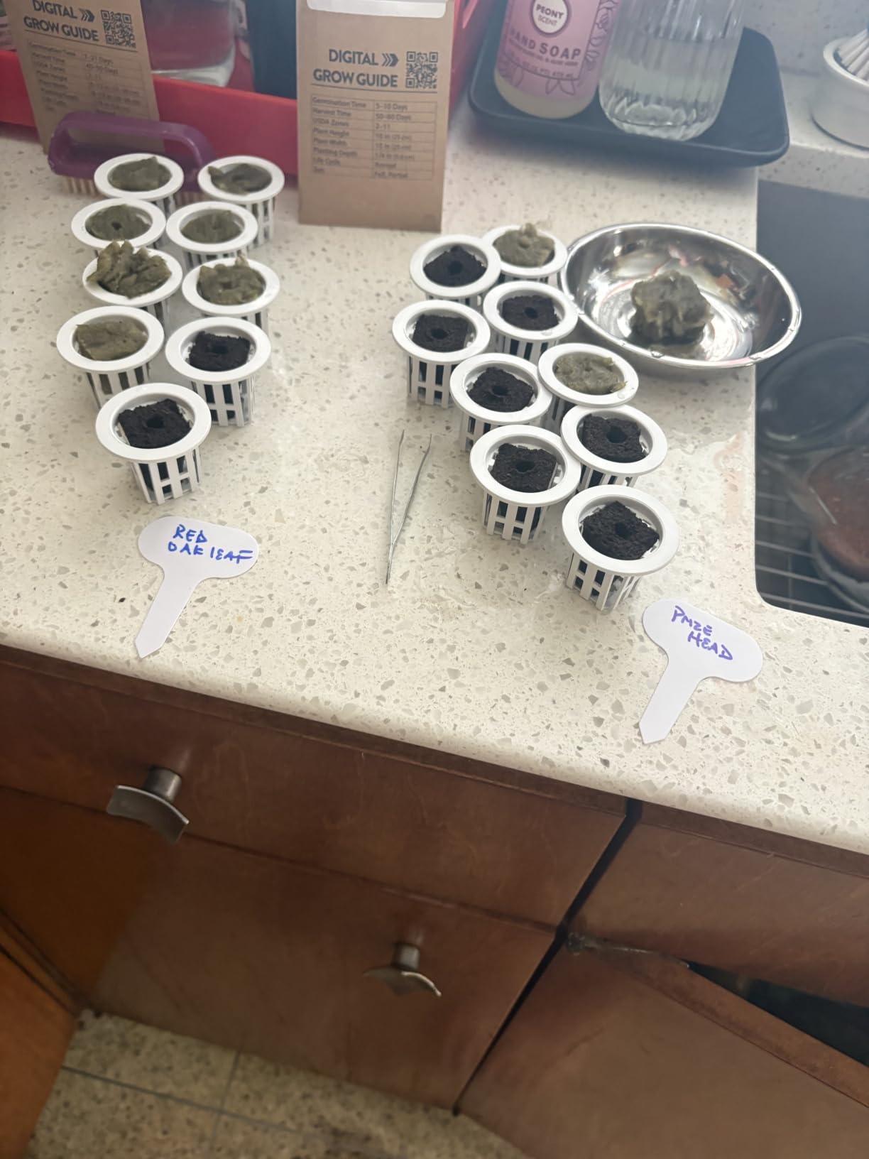 Large Hydroponics Growing System, 148-Pod Vertical Hydroponic Tower Garden customer photo 2