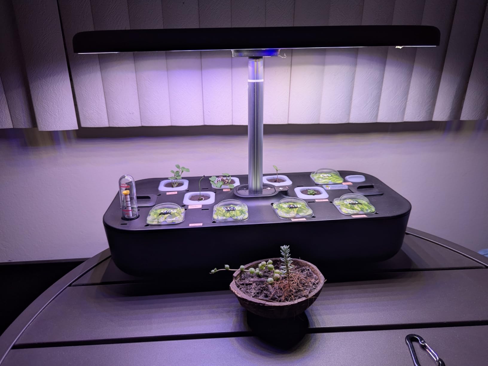 owltron Smart Hydroponics Growing System Kit,15 Pods Indoor Herb Garden with 36W LED Grow Light & APP Control, Planting Height Up to 30
