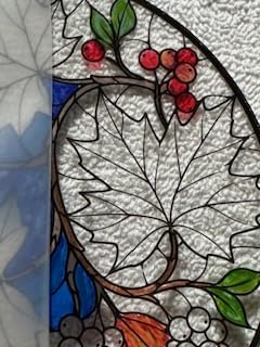 Jiamiyou 51pcs Flower Suncatcher Craft Kit DIY Stained Glass Art for Adults customer photo 2