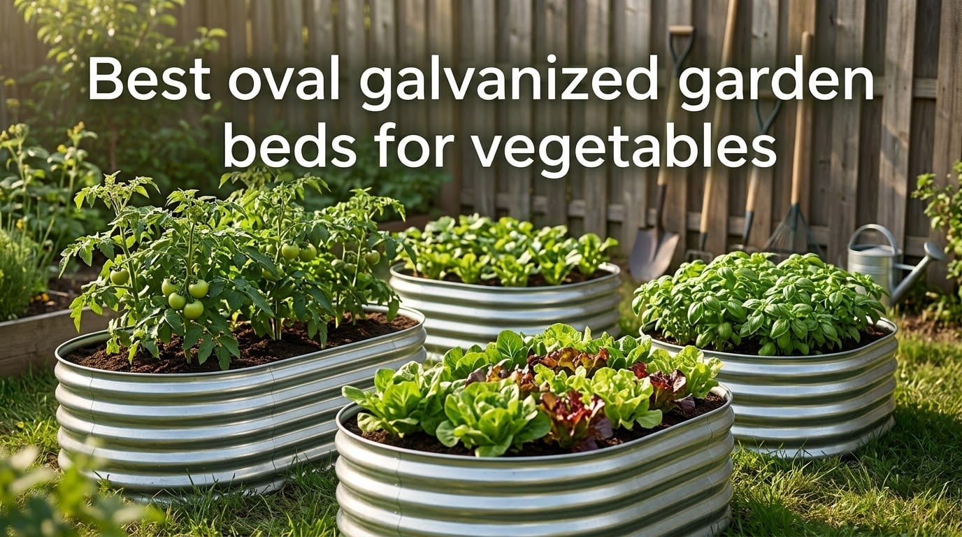 Best oval galvanized garden beds for vegetables