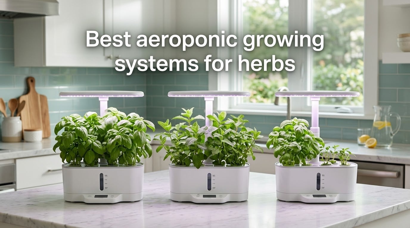 Best aeroponic growing systems for herbs