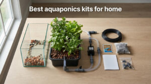 Best aquaponics kits for home