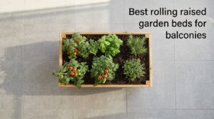 Best rolling raised garden beds for balconies