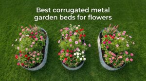 Best corrugated metal garden beds for flowers