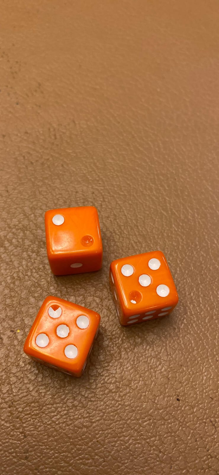 Farkle Dice Games for Kids, Dice Set, Score Sheets Inc, Family Game Night customer photo 1