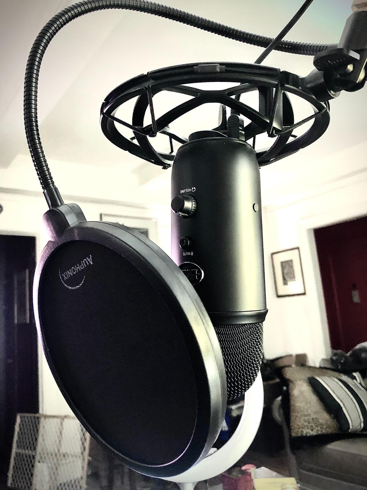 Microphone Pop Filter (MPF-1) 6-inch Diameter With Double Mesh Filter Screen customer photo 1