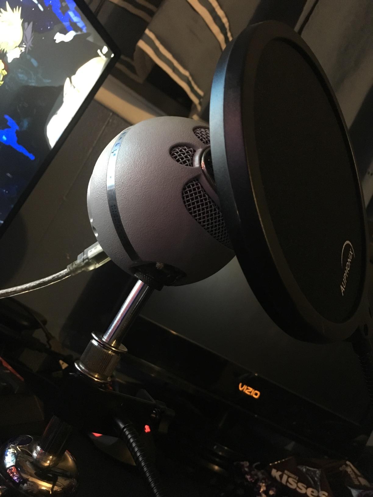 Microphone Pop Filter (MPF-1) 6-inch Diameter With Double Mesh Filter Screen customer photo 2
